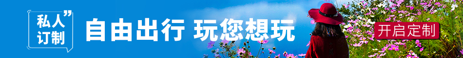 定制游